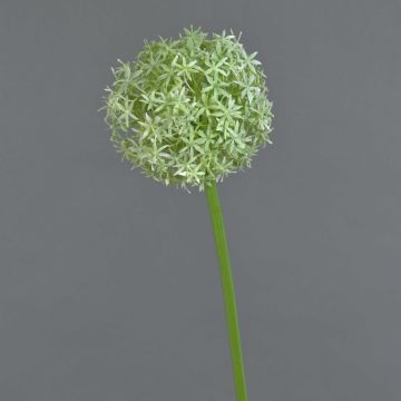 Plastic Allium SAMARA, cream, 30"/75cm, Ø 4.7"/12cm