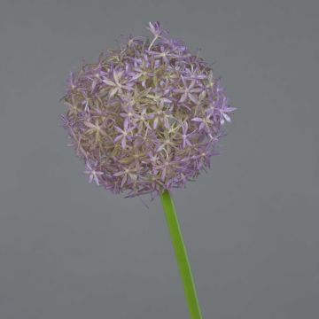 Plastic Allium SAMARA, purple, 30"/75cm, Ø 4.7"/12cm