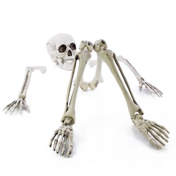 Halloween decorative skeleton figure parts ADALBERT with 5 ground stakes, 19cm, 45cm, 66cm