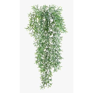 Plastic Asparagus sprengeri CAMILLA, spike, 28"/70cm