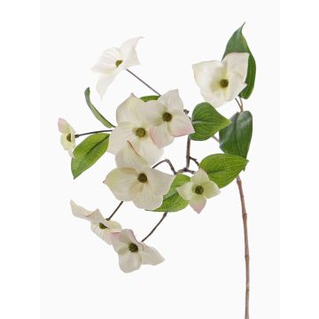 Artificial Japanese dogwood branch KOHANA, flowering, cream, 28"/70cm Artificial Japanese dogwood branch KOHANA, flowering, cream, 28"/70cm