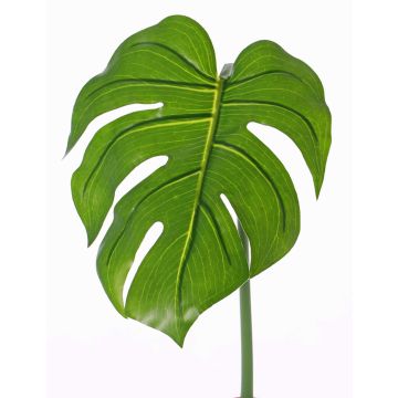 Decorative Philodendron Monstera Deliciosa leaf LANDER, 22"/55cm Decorative Philodendron Monstera Deliciosa leaf LANDER, 22"/55cm