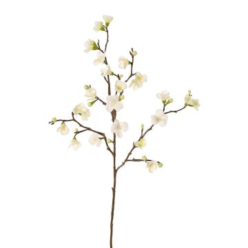 Artificial apple blossom branch SADAKA, flowering, cream, 4ft/130cm Artificial apple blossom branch SADAKA, flowering, cream, 4ft/130cm