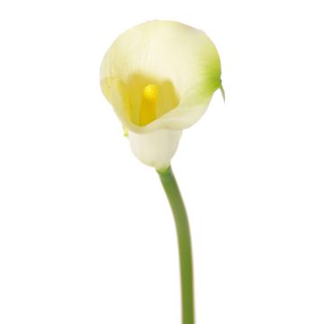 Fake Calla flower CHIDORA, cream, 22"/55cm, 2"x2.4"/5x6cm Fake Calla flower CHIDORA, cream, 22"/55cm, 2"x2.4"/5x6cm