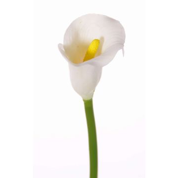 Fake Calla flower CHIDORA, white, 22"/55cm, 2"x2.4"/5x6cm Fake Calla flower CHIDORA, white, 22"/55cm, 2"x2.4"/5x6cm