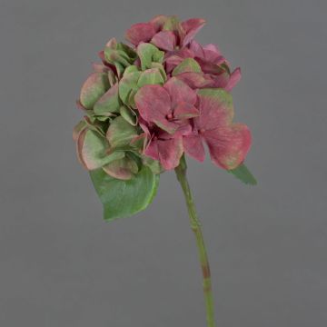 Plastic hydrangea CHIDORI, red-green, 12"/30cm, Ø 5"/13cm