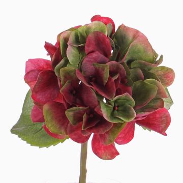 Plastic hydrangea CHIDORI, red-green, 12"/30cm, Ø 5"/13cm Plastic hydrangea CHIDORI, red-green, 12"/30cm, Ø 5"/13cm