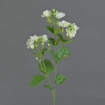 Decorative jasmine twig SINJA, white-green, 24"/60cm, Ø 1.6"/4cm Decorative jasmine twig SINJA, white-green, 24"/60cm, Ø 1.6"/4cm