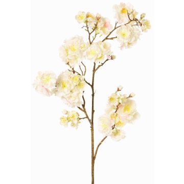 Decorative branch Japanese ornamental cherry RUKIA, flowering, white, 3ft/90cm Decorative branch Japanese ornamental cherry RUKIA, flowering, white, 3ft/90cm