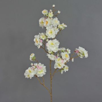 Decorative branch Japanese ornamental cherry RUKIA, flowering, white, 3ft/90cm