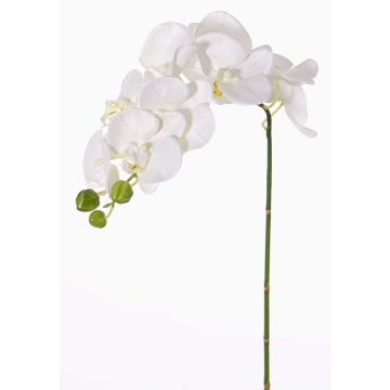 Artificial Phalaenopsis orchid branch GALINA, cream, 18"/45cm Artificial Phalaenopsis orchid branch GALINA, cream, 18"/45cm