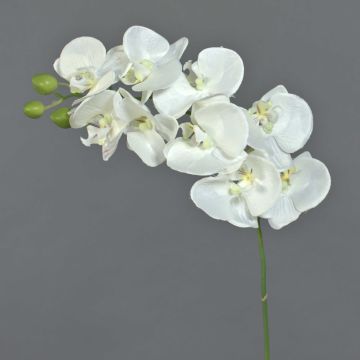 Artificial Phalaenopsis orchid branch GALINA, cream, 18"/45cm Artificial Phalaenopsis orchid branch GALINA, cream, 18"/45cm