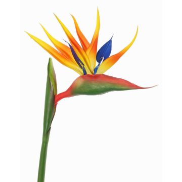 Artificial strelitzia Flower LATIFA, orange-purple, 31"/80cm, 6.7"x8"/17x20cm Artificial strelitzia Flower LATIFA, orange-purple, 31"/80cm, 6.7"x8"/17x20cm