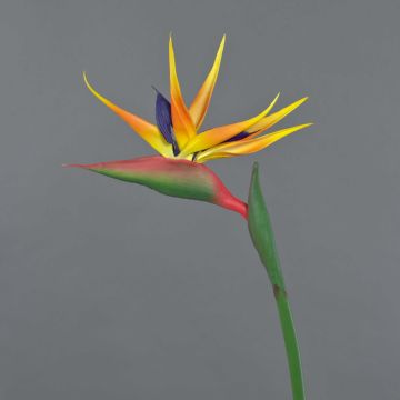 Artificial strelitzia Flower LATIFA, orange-purple, 31"/80cm, 6.7"x8"/17x20cm
