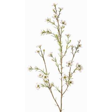 Artificial wax flower NIANG, cream, 31"/80cm, Ø0.6"-1"/1.5-2.5cm