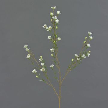 Artificial wax flower NIANG, cream, 31"/80cm, Ø 0.8"-1.2"/2-3cm