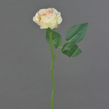 Artificial flower Rose GABI, cream-pink, 10"/25cm, Ø 2"/5cm