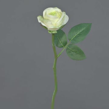 Artificial flower Rose GABI, cream-green, 10"/25cm, Ø 2"/5cm