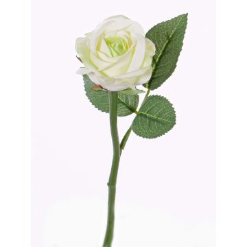 Artificial flower rose GABI, cream-green, 12"/30cm, Ø2.4"/6cm Artificial flower rose GABI, cream-green, 12"/30cm, Ø2.4"/6cm