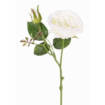 Artificial cabbage rose JUDY, cream, 16"/40cm, Ø3.5"/9cm Artificial cabbage rose JUDY, cream, 16"/40cm, Ø3.5"/9cm