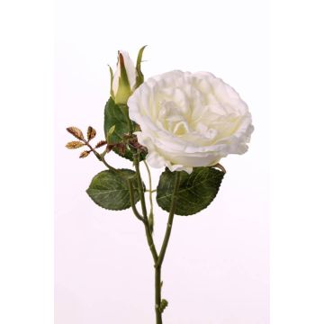 Artificial cabbage rose JUDY, cream, 14"/35cm, Ø 3.1"/8cm Artificial cabbage rose JUDY, cream, 14"/35cm, Ø 3.1"/8cm