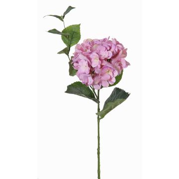 Silk Hydrangea ASUKA, purple, 31"/80cm, Ø5.9"/15cm Silk Hydrangea ASUKA, purple, 31"/80cm, Ø5.9"/15cm