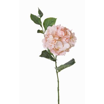 Silk hydrangea ASUKA, pink, 31"/80cm, Ø5.9"/15cm Silk hydrangea ASUKA, pink, 31"/80cm, Ø5.9"/15cm