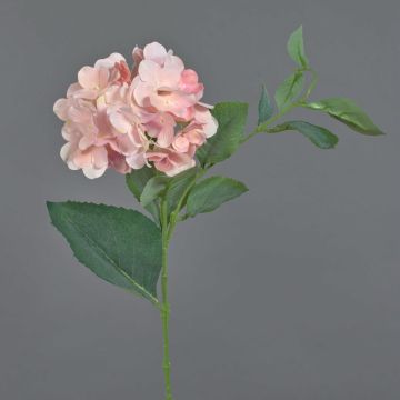Silk hydrangea ASUKA, light pink, 31"/80cm, Ø 5.9"/15cm