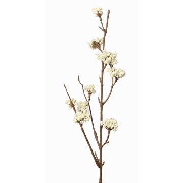 Decorative spray Callicarpa bodinieri LARINA with berries, cream, 20"/50cm Decorative spray Callicarpa bodinieri LARINA with berries, cream, 20"/50cm