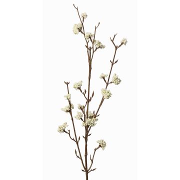 Decorative spray Callicarpa bodinieri LARINA with berries, cream, 28"/70cm Decorative spray Callicarpa bodinieri LARINA with berries, cream, 28"/70cm