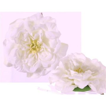 Decorative rose blossom SASKIA, floating, cream, 2"/5cm, Ø 5.9"/15cm Decorative rose blossom SASKIA, floating, cream, 2"/5cm, Ø 5.9"/15cm