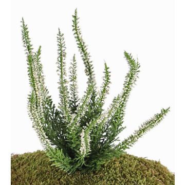 Decorative heather IMKE on spike, cream, 10"/25cm, Ø0.4"/1cm Decorative heather IMKE on spike, cream, 10"/25cm, Ø0.4"/1cm