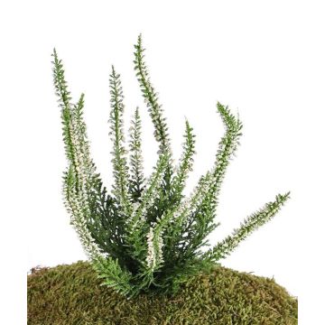Decorative heather IMKE on spike, cream, 10"/25cm, Ø 0.4"/1cm Decorative heather IMKE on spike, cream, 10"/25cm, Ø 0.4"/1cm