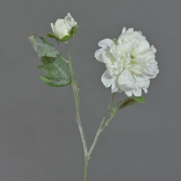 Silk peony MALINE, snow, cream, 24"/60cm, Ø 4.7"/12cm