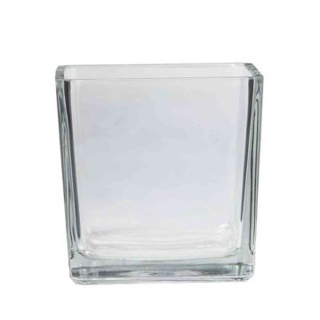 Planter KIM OCEAN, cube/square, clear, 5.5"x5.5"x5.5"/14x14x14cm