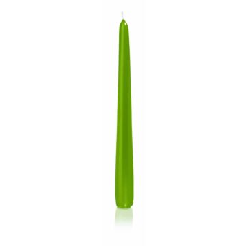 Table candle / Household candle PALINA, green, 10"/25cm, Ø1"/2,5cm, 8h - Made in Germany