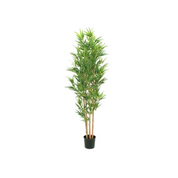 ELISSO plastic bamboo, real trunks, 150cm