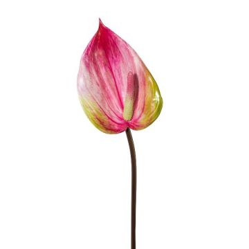 Decorative flower Anthurium GRUNT, pink, 30"/75cm