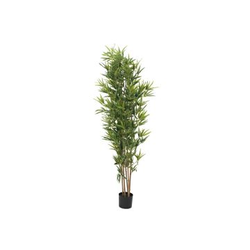 ELISSO plastic bamboo, real trunks, 180 cm ELISSO plastic bamboo, real trunks, 180 cm