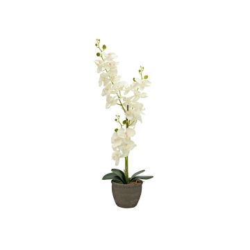 Textile Phalaenopsis orchid KATALIN, decorative pot, cream, 80 cm Textile Phalaenopsis orchid KATALIN, decorative pot, cream, 80 cm