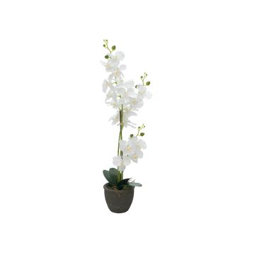 Textile Phalaenopsis orchid KATALIN, decorative pot, white, 80cm Textile Phalaenopsis orchid KATALIN, decorative pot, white, 80cm