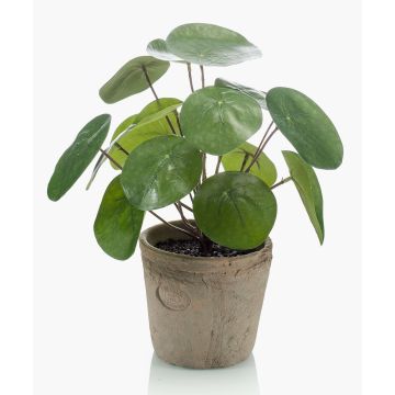 Artificial Sukkulente Chinese money plant SYBIL in terracotta pot, green, 20cm