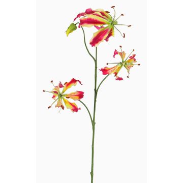 Artificial Gloriosa flower TIANA, fuchsia-green, 31"/80cm, Ø 3.1"-5.9"/8-15cm Artificial Gloriosa flower TIANA, fuchsia-green, 31"/80cm, Ø 3.1"-5.9"/8-15cm