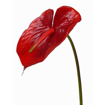 Artificial flamingo flower MOIRA, red, 30"/75cm, 5.1"x8"/13x20cm