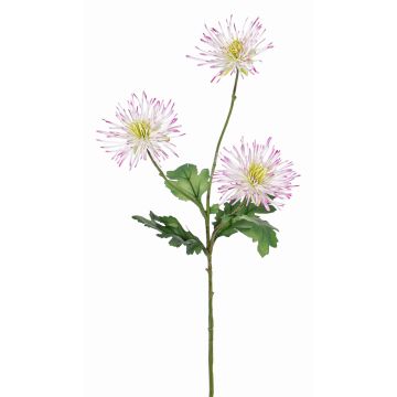 Artificial chrysanthemum SOLVIE, white-pink, 28"/70cm, Ø 3.9"/10cm Artificial chrysanthemum SOLVIE, white-pink, 28"/70cm, Ø 3.9"/10cm