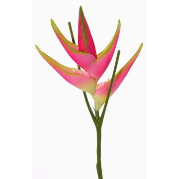 Fake Heliconia flower TOMKE, pink-green, 31"/80cm, Ø 12"/30cm Fake Heliconia flower TOMKE, pink-green, 31"/80cm, Ø 12"/30cm