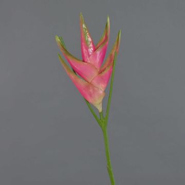 Fake Heliconia flower TOMKE, pink-green, 31"/80cm, Ø 12"/30cm