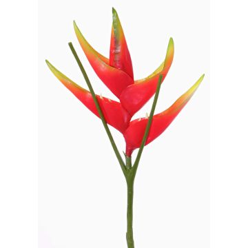 Fake Heliconia flower TOMKE, red-green, 31"/80cm, Ø 12"/30cm Fake Heliconia flower TOMKE, red-green, 31"/80cm, Ø 12"/30cm