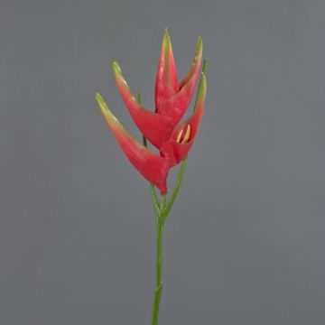 Fake Heliconia flower TOMKE, red-green, 31"/80cm, Ø 12"/30cm