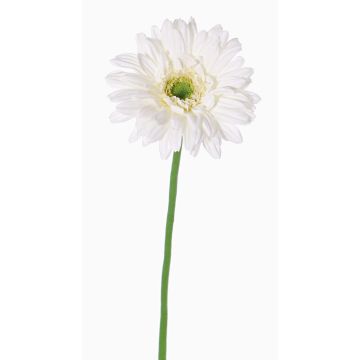 Artificial Gerbera HELLI, cream, 26"/65cm, Ø 4.7"/12cm Artificial Gerbera HELLI, cream, 26"/65cm, Ø 4.7"/12cm